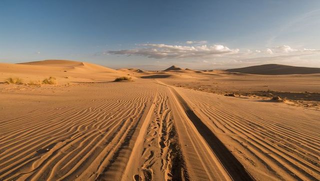 Vehicle tracks leading through golden desert dunes at sunset showing windblown ripples