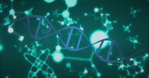 Digital DNA Strand on Molecular Background Conceptual Science - Download Free Stock Images Pikwizard.com