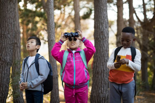 Children are exploring nature in a forest, with one child looking through binoculars while the others observe their surroundings. This image is perfect for educational materials, adventure-themed content, outdoor activity promotions, and articles about childhood exploration and learning.