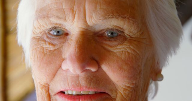 Close Up of Elderly Woman with White Hair and Blue Eyes - Download Free Stock Images Pikwizard.com