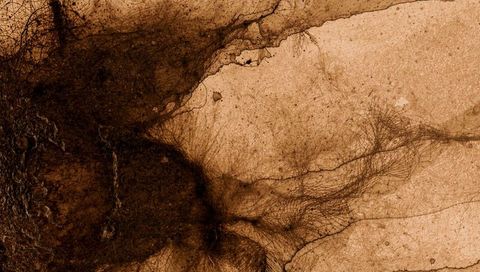 Dark mass radiating filamentous strands across sepia porous crusty texture