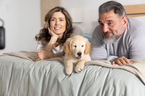 Couple relaxing with golden retriever puppy on bed, cozy home lifestyle, pet bonding