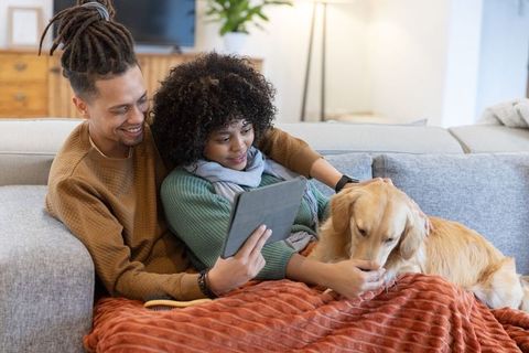 African american couple snuggling on couch browsing tablet and petting golden retriever