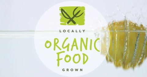 Organic Food Freshly Splashes in Water with Green Icon Graphics