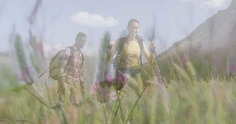 African American Couple Hiking in Lush Mountain Landscape - Download Free Stock Images Pikwizard.com