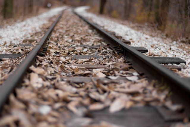 Railway tracks covered with autumn leaves in a forest. Great for themes of nature, fall season, nostalgia, and travel. Suitable for backgrounds, wallpapers, and promoting outdoor activities or seasonal events.