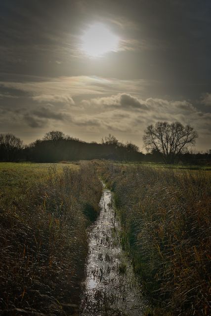 Misty Countryside Field with Narrow Stream at Sunrise - Download Free Stock Images Pikwizard.com
