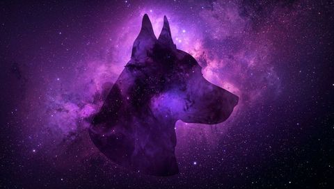 Cosmic Dog Silhouette Emerging from Violet Nebula with Glowing Starfield and Dust Lanes