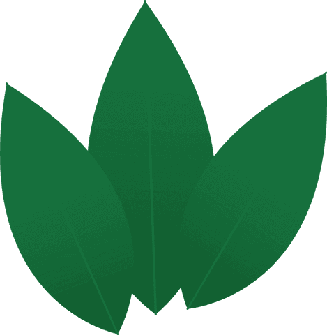 Stylized green leaf trio on transparent background