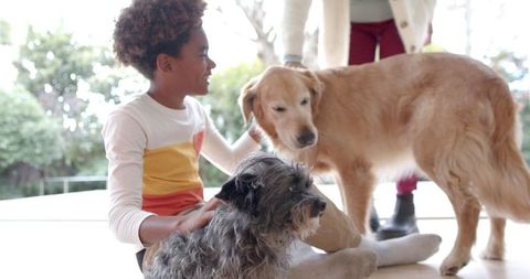 Mother and Son Spending Quality Time with Pet Dogs in Bright Home