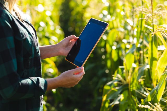 Midsection of mid adult caucasian female agronomist using digital tablet in greenhouse on sunny day. nature, unaltered, agronomist, research, wireless technology, organic farm and farming concept.