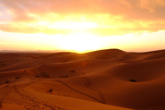 Golden Desert Sand Dunes Illuminated by Sunset - Download Free Stock Photos Pikwizard.com
