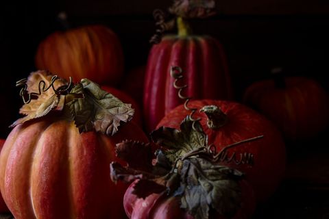 Rustic autumn pumpkins arrangement in low light