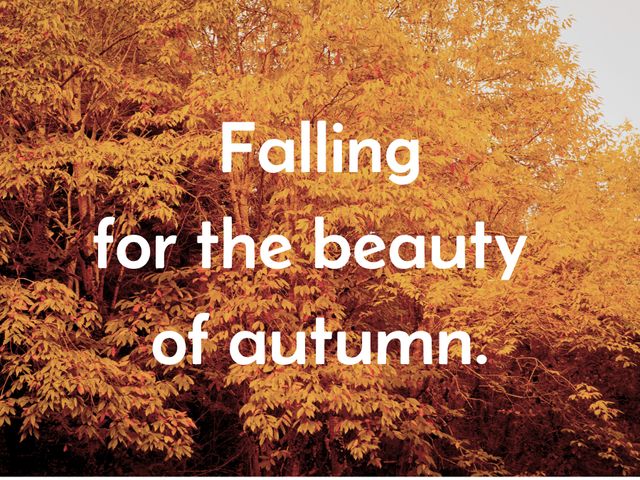 Golden autumn leaves with inspirational text overlay 'Falling for the beauty of autumn.' Perfect for autumn-themed promotions, social media posts, seasonal marketing materials, and nature-inspired designs.