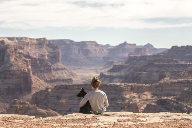Person sitting with a dog, gazing over a vast and rugged canyon. Perfect for themes related to nature, travel, companionship, outdoor adventures, and serene landscapes. Ideal for blogs, travel websites, posters, and promotional material for hiking or outdoor activities.