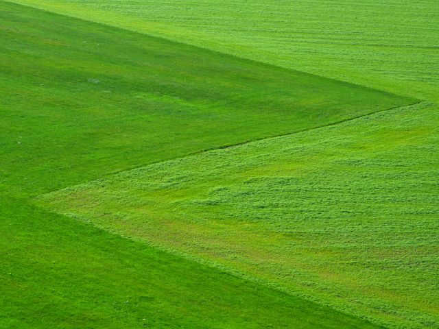 Abstract Aerial View of Green Grass Fields with Geometric Patterns - Download Free Stock Photos Pikwizard.com