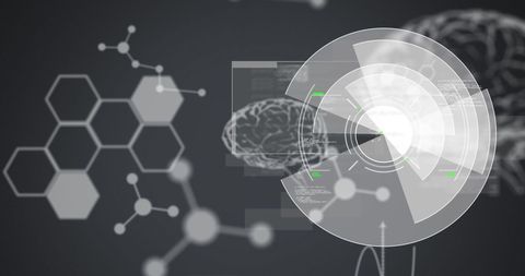 Futuristic Digital Interface Analyzing Brain Data - Download Free Stock Images Pikwizard.com