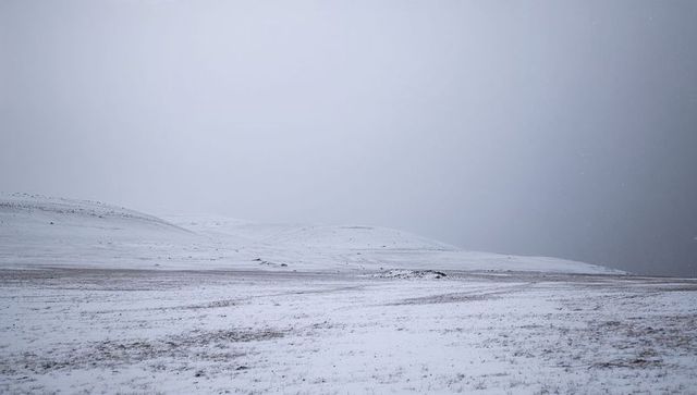 Minimalist snow-covered steppe with rolling hills and faint tracks under overcast sky