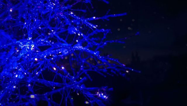 Blue led wrapped bare branches creating frosty bokeh lights over winter night garden