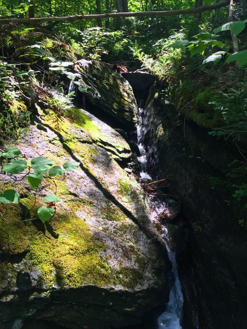 Sunlight is filtering through a lush forest, illuminating moss-covered rocks with a small stream flowing through them. This serene and natural environment emphasizes tranquility and can be used for nature-focused articles, relaxation blogs, outdoor adventure advertising, or environmental awareness campaigns.
