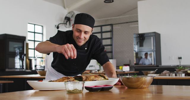 Smiling Chef Garnishing Dish in Modern Kitchen - Download Free Stock Images Pikwizard.com