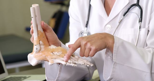 Physiotherapist holding a skeleton feet model in clinic 4k