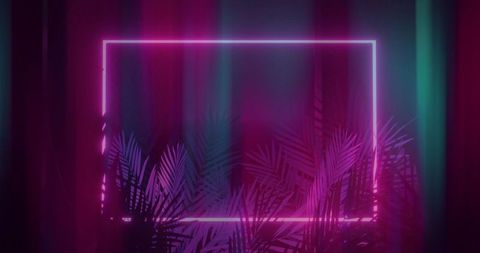 Glowing neon frame with palm leaves in ambient purple light