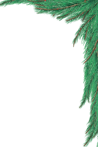transparent evergreen branch border corner design - Download Free Stock Videos Pikwizard.com