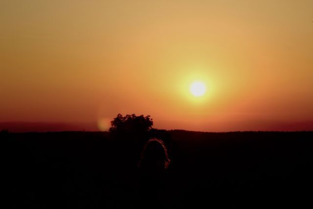 Person Watching Beautiful Sunset - Download Free Stock Photos Pikwizard.com