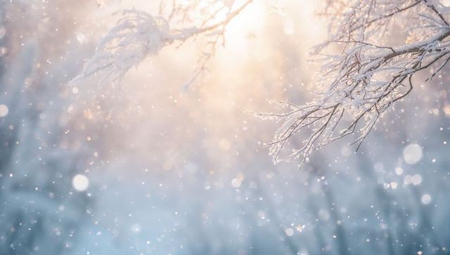 Sunlit frosted branches with sparkling bokeh snowfall on soft blue serene winter morning