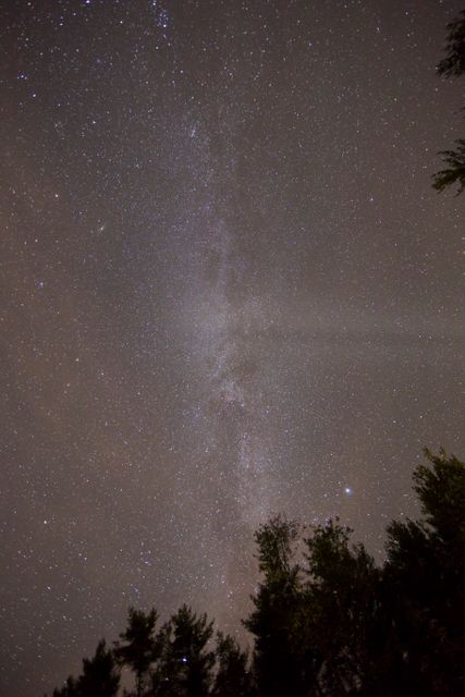 Night Sky with Milky Way over Forest Trees - Download Free Stock Photos Pikwizard.com