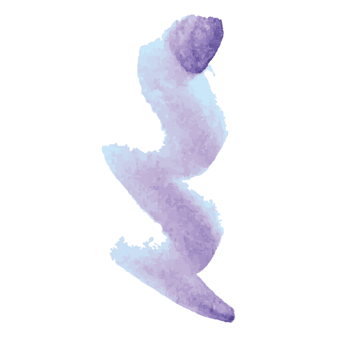 intricate blue spiral with transparent background - Download Free Stock Videos Pikwizard.com