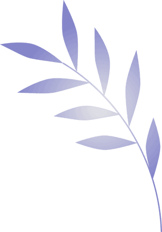 elegant lavender sprig on transparent background minimalistic design - Download Free Stock Videos Pikwizard.com