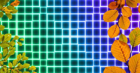 Vibrant Leaves with Neon Light Grid Background - Download Free Stock Images Pikwizard.com