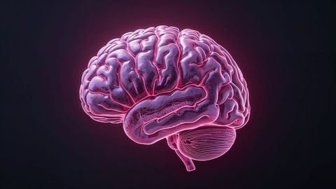 Futuristic Holographic Brain Model with Neon Glow