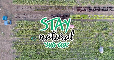 Stay natural green garden with workers tending rows