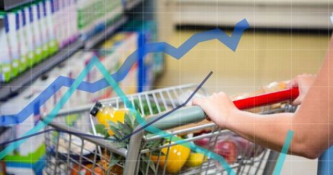 Data Analysis Overlay on Woman Grocery Shopping - Download Free Stock Images Pikwizard.com