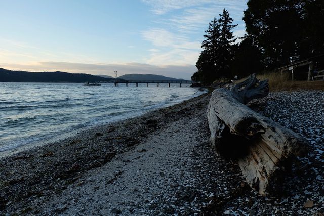 View shows a coastal beach as the sun sets, casting a serene ambiance over the scene. Driftwood lies on pebbly shore, trees stand sentinel in distance, pier extends into the calm water. Ideal for travel advertisements, nature blogs, or background design.