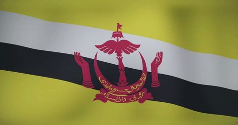Waving brunei darussalam flag closeup yellow field black-white diagonal stripe red crest