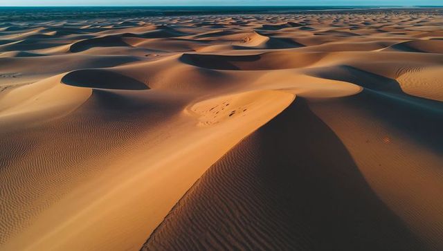 Golden sand dune crest showing ripples and footprints across expansive desert horizon
