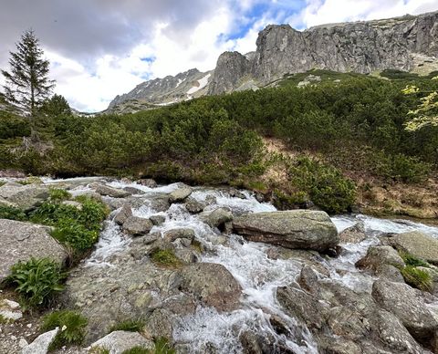 Scenic mountain stream flowing through rocky terrain
