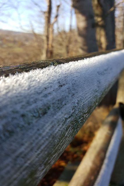 Close-up of frost forming on a wooden rail during a winter morning with blurred forest background. Possible uses include illustrating cold weather concepts, winter outdoor activities, or nature photography framing effects.