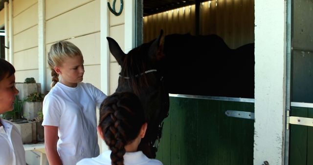 Children Feeding a Horse in Stable - Download Free Stock Images Pikwizard.com