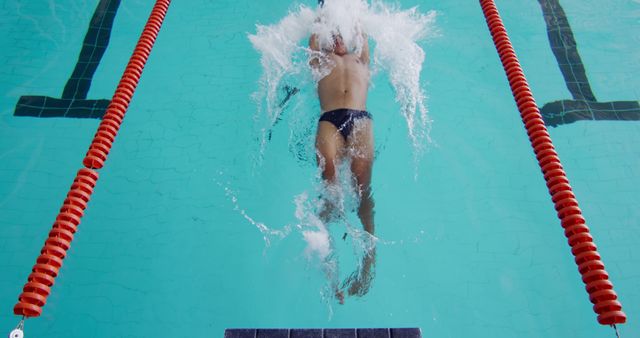 Competitive Swimmer Diving into Pool for Race During Training - Download Free Stock Images Pikwizard.com