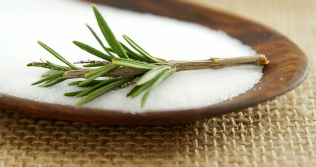 Fresh rosemary sprig on wooden spoon with salt background - Download Free Stock Images Pikwizard.com