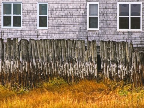 Weathered Coastal Shingle House with Salt-Stained Wooden Palisade and Golden Marsh Grass