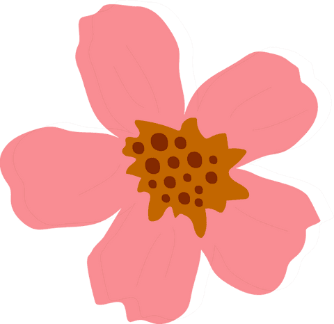Minimalistic flat pink wildflower illustration on transparent background