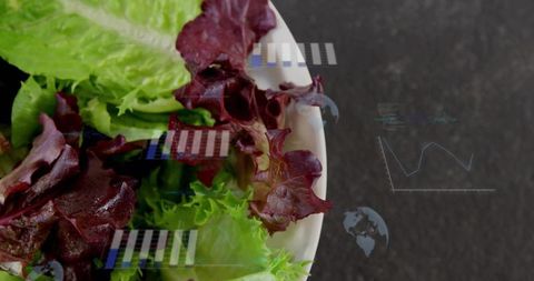 Augmented reality salad with data overlays on dark kitchen countertop