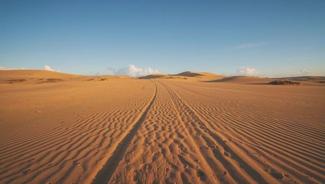 Parallel vehicle tracks running through rippled desert sand toward distant dunes