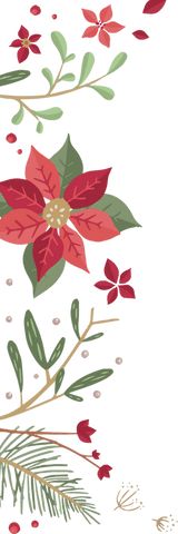 Floral Border with Red Star Flowers on Transparent Background - Download Free Stock Videos Pikwizard.com